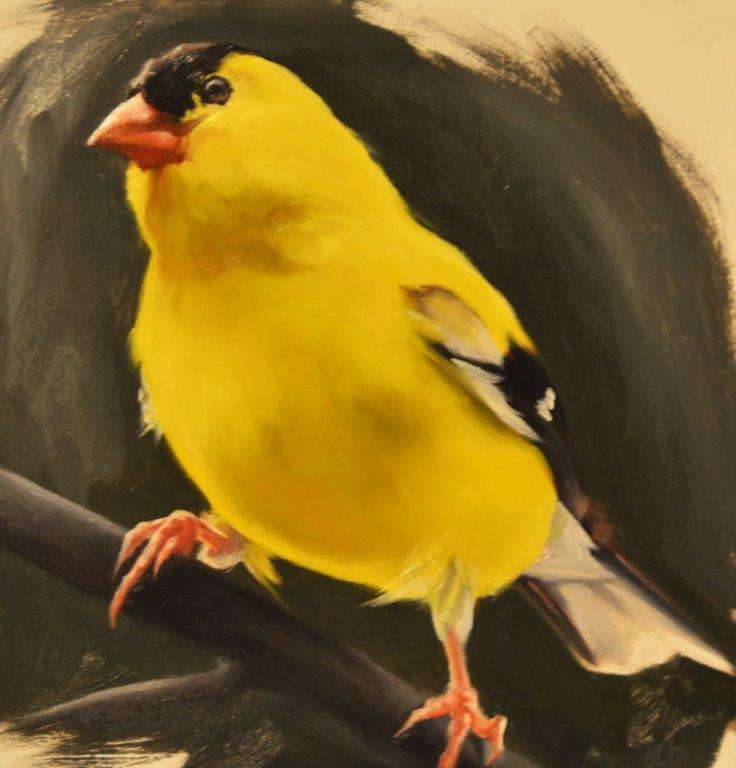 Goldfinch